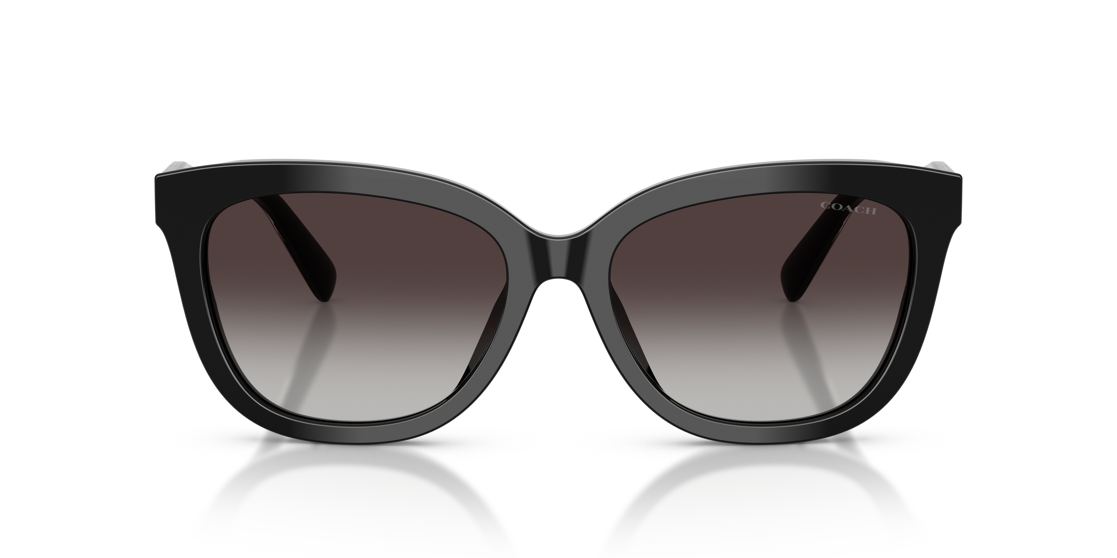 Coach HC8453U 50028G Cdp53 